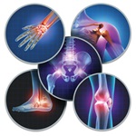 Various orthopaedic areas in an illustration